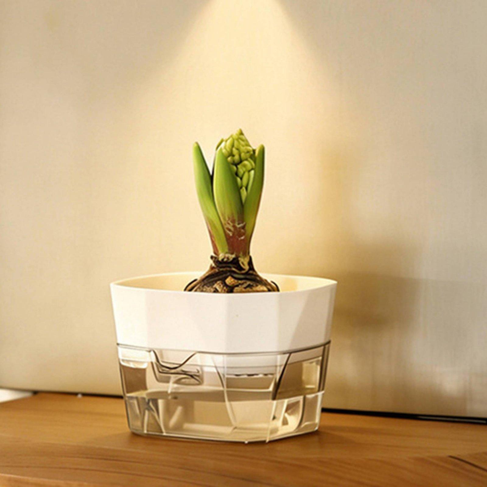Jarrón Hidropónico de Dos Capa - Vase Decor reseña y precio