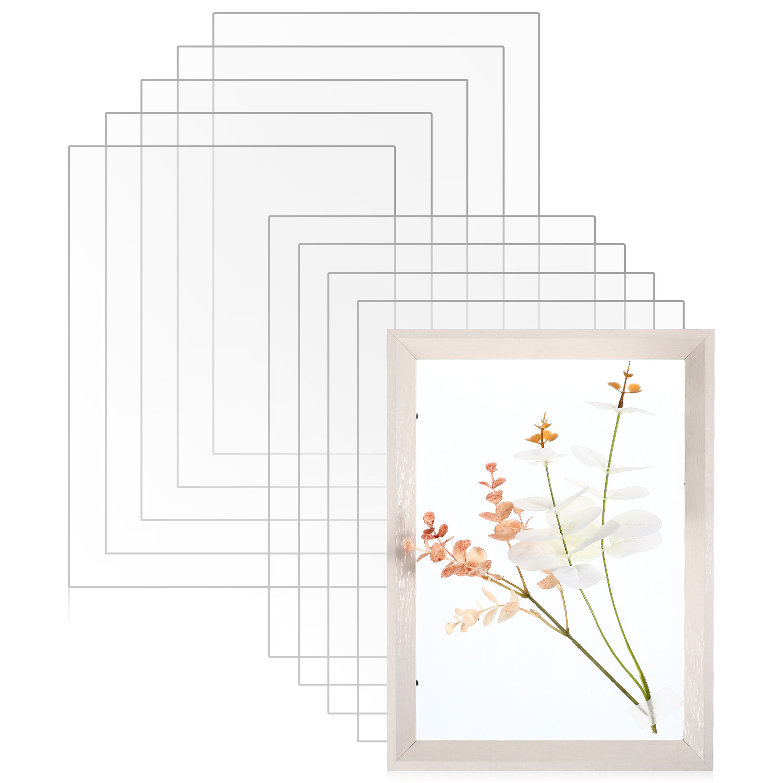 10 Uds. De hojas de plástico t - Picture Frame reseña y precio