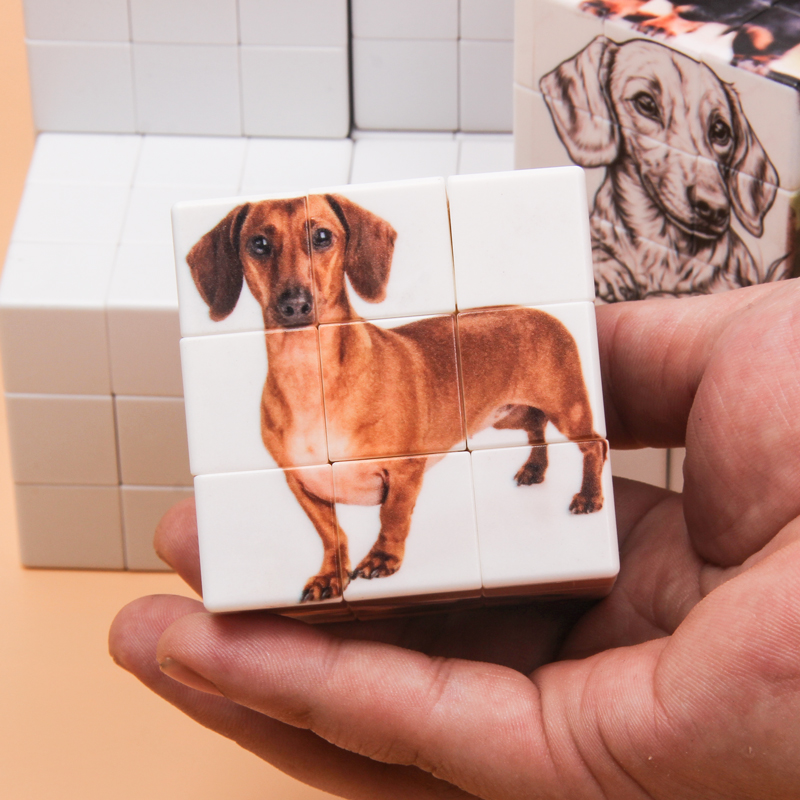 Cubos mágicos personalizados,  - Picture Frame reseña y precio